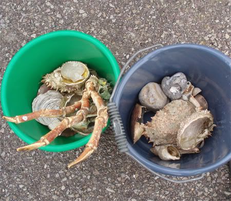 sotteville-sur-mer7.jpg picture by alleskits