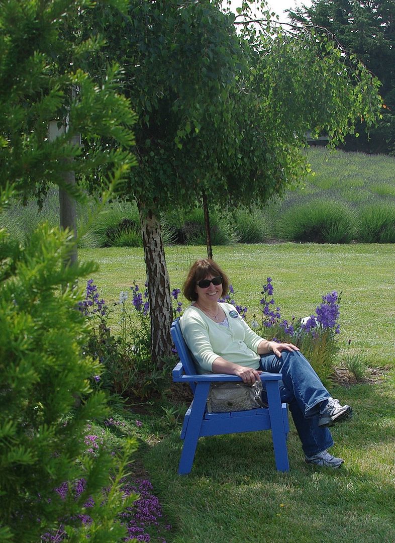http://i158.photobucket.com/albums/t88/lnbseattle/Summer%202011/SequimLavender163.jpg