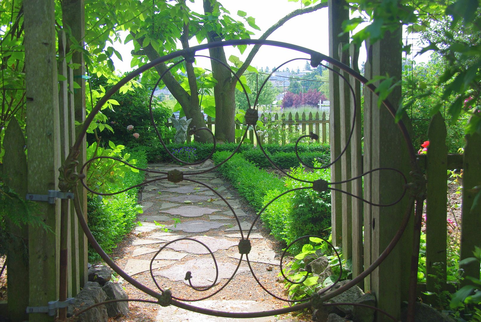 http://i158.photobucket.com/albums/t88/lnbseattle/Summer%202011/SequimLavender175.jpg
