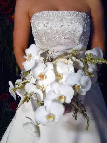 White Orchid Bouquet Pictures, Images and Photos