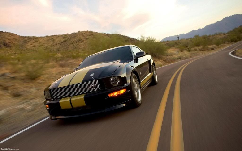 Ford-Shelby-GTH-1.jpg