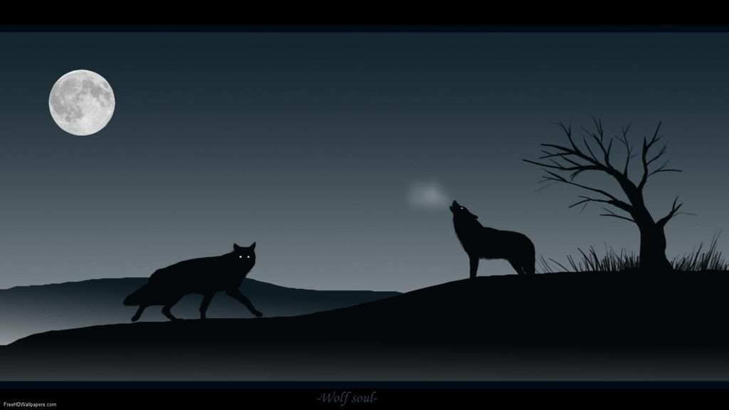 Wolf_soul__by_wolf_wind-1.jpg