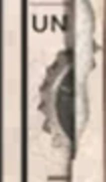 UN.jpg