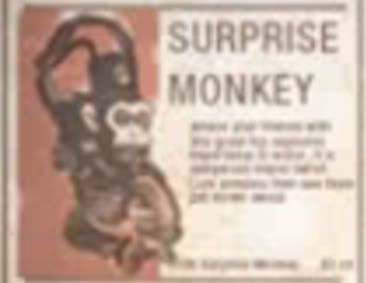 surprisemonkey.jpg