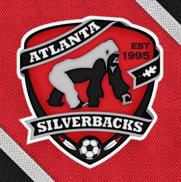 DM_atlanta_silverbacks_mesh.jpg