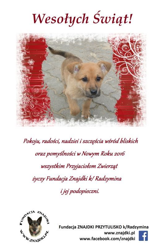 bozenarodzenie_KARTKA_ZNAJDKI_2015_zpsyb