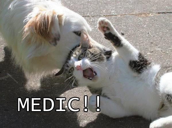 [Image: medic.jpg]