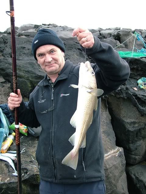 DSCF7195.jpg