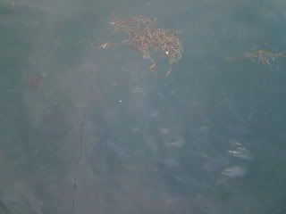 DSCF7226.jpg