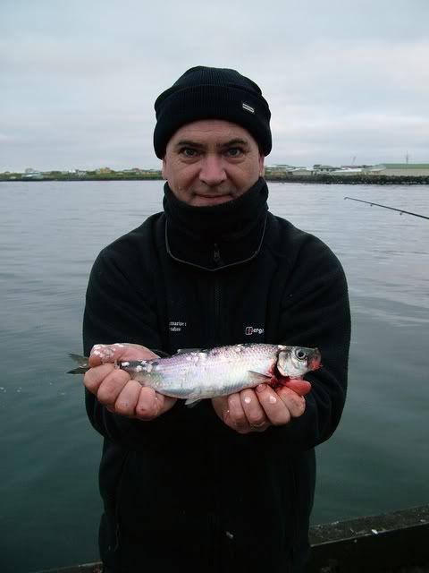 DSCF7239.jpg