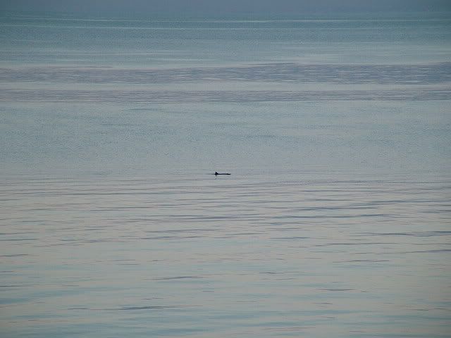 DSCF7289.jpg