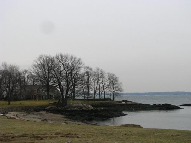 IMG_4146.jpg