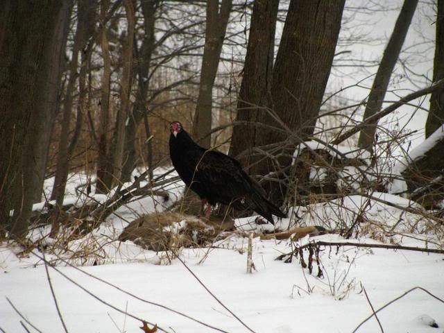 IMG_5515.jpg