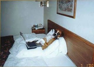 dog_laptop.jpg resting image by badhabit1955