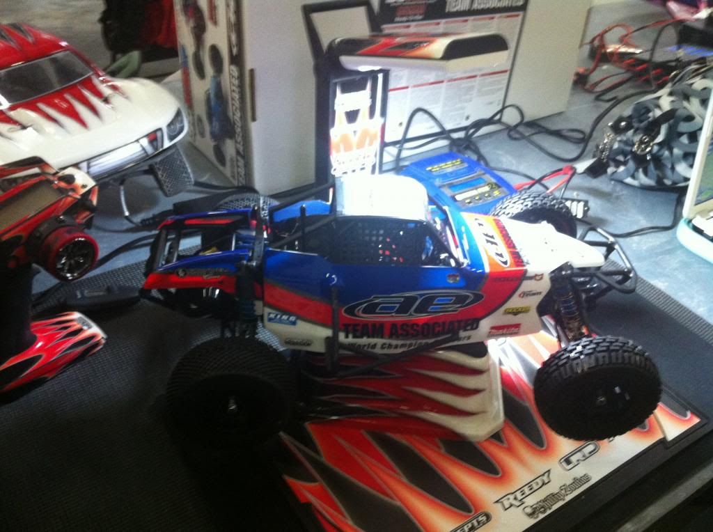 df models crusher race buggy
