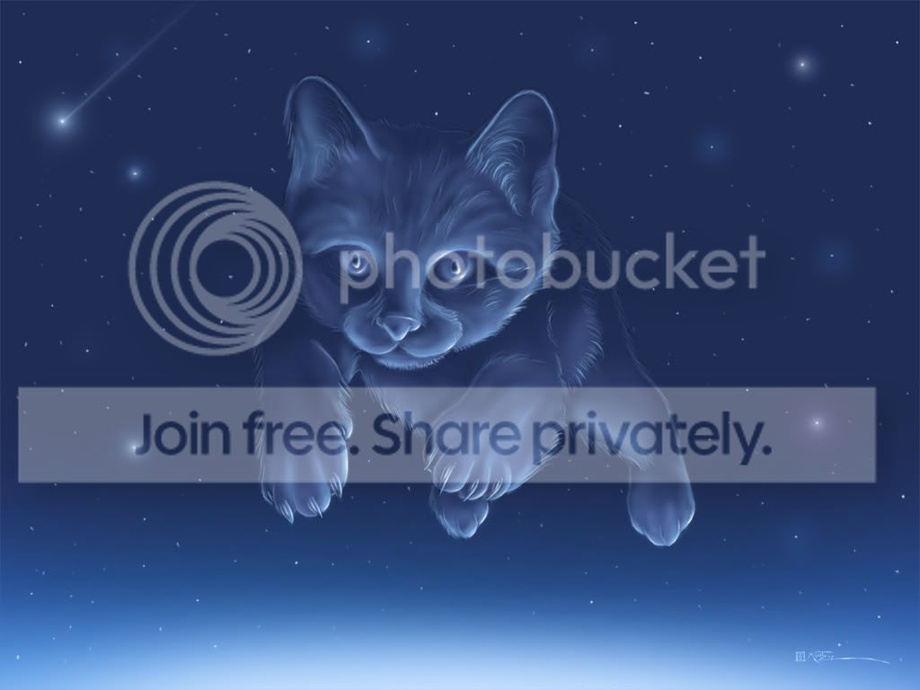 Kitten In Space By Machine Guts