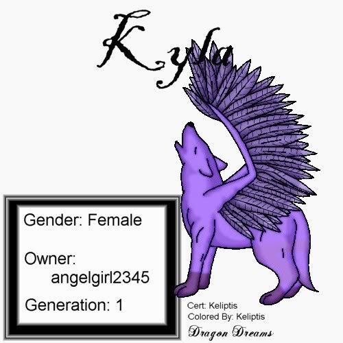 User Image