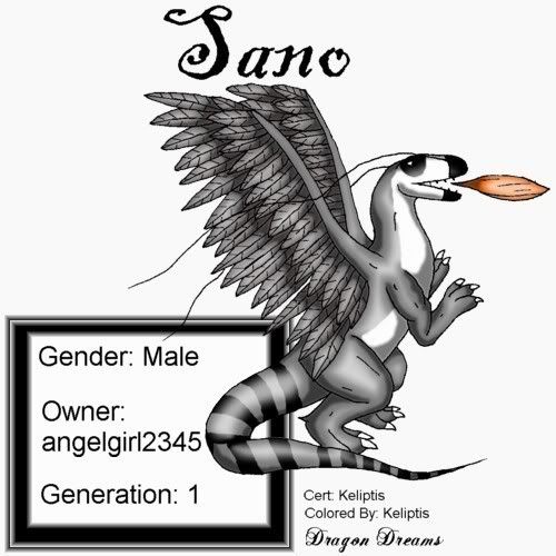 User Image