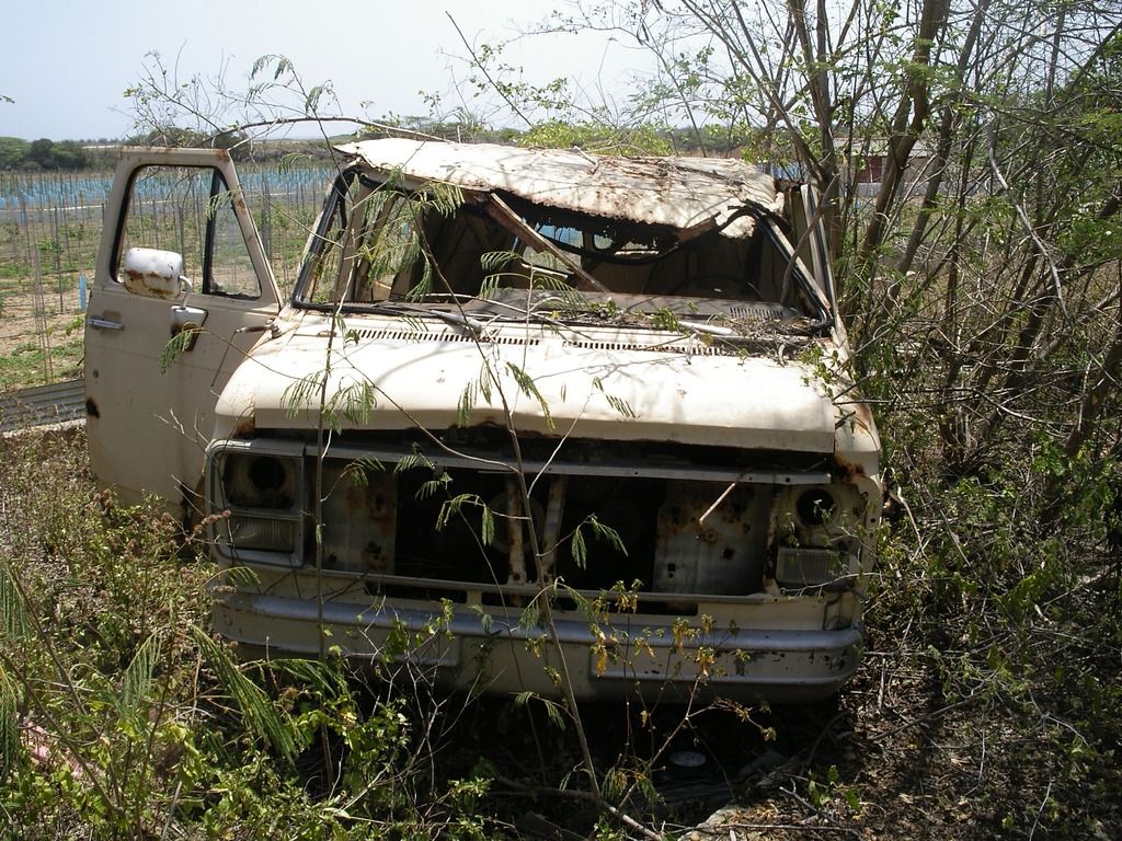 IMGP0062_zpse2i88rqu.jpg