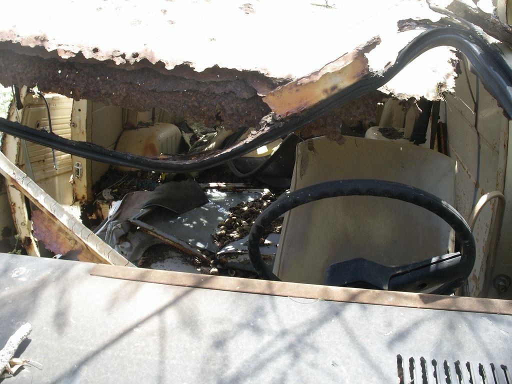 IMGP0063_zpsiogn9sn1.jpg