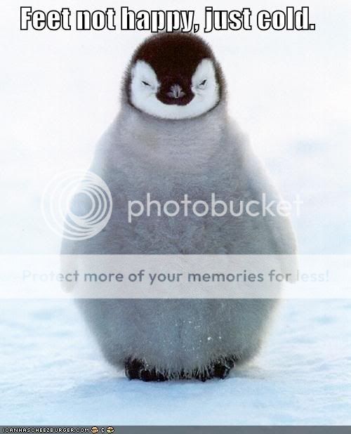 funny-pictures-penguin-does-not-hav.jpg Photo by Vittoriel | Photobucket