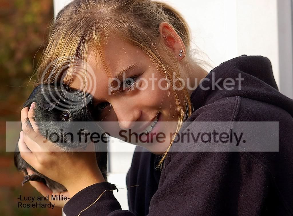 PETS048_pp.jpg