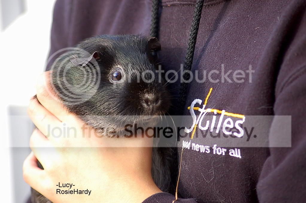 PETS051.jpg
